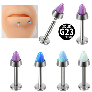 {fBsAX jp G23`^ 16G lW C^[iXbh Ip[ 됍R[wbh bv  wbNX gKX  p dCbLH Vv JWA(x2)