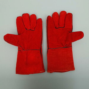 nڎ nڃO[u v wv  dnt ϔM h ϋv nڍƗp HƗp Ɨp  F