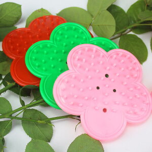 |pi opgQ sɗD _[W ~ \tgObv t[AWg ԑ  d   K[fjO 