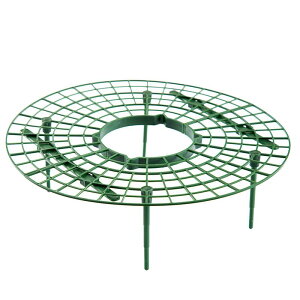 いちご栽培スタンド 腐敗防止 清潔保持 プラスチック製 グリーン 家庭菜園 ベランダ菜園 プランター 鉢植え 植物誘引支柱 ガーデニング 園芸サポート 野菜栽培 成長促進 収穫量アップ