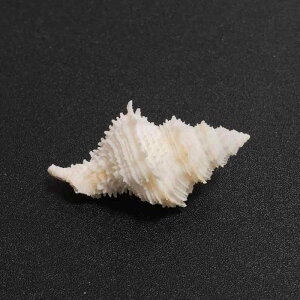 Lk VR  tBbsB Ԑ嗆 L X W{ RNV  ANAE CAEg I[ig CeA  IuWF hJ hւ VF }G