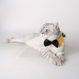 p ANZT[ ^ ^ am tH[}  ueBbVX^C Rbg  iC lN^C lN^C ֏ U o 킢 }`J[