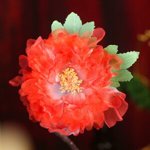 wAANZT[ jp IWifUC  O   g NVbN AeB[N D ؂₩ TChNbv  a