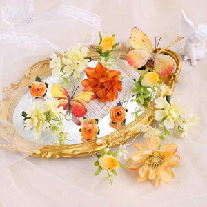 wAANZT[ fB[X g D ؂₩ X  񂴂 wANbv _bJ[Nbv  ʐ^Bep F Zbg nhCh