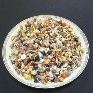 Ntgf Lk L VF Lk L ~bNX lߍ킹 킢 DIY nhCh | fBXvC Yr ANAE eE WI} ޗ p[c ^ 1-2cm