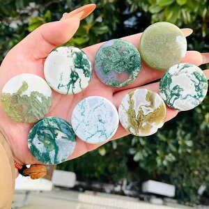 p[Xg[ VR ChlVAY mE VRNX^ ۋ K ґz q[O  }bT[W M zbgXg[ bNX  Mtg 蕨