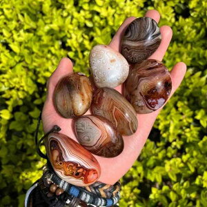 VR   AQ[g Vѐ  Ϗܐ u  ANAE CAEg CeA IuWF p[Xg[ q[O _ Vv