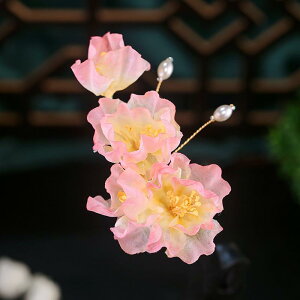 wAANZT[ jp Vؕ XK[ GKg ؂₩ 藧̉  a Õ sN  wANbv ʐ^Bep