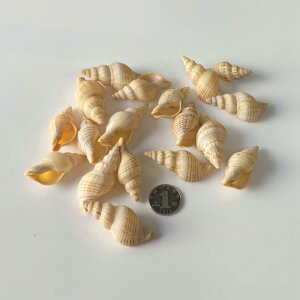 Lk VR L ANAE  CAEg DIY Ntg f EH[fR[V EFfBO uC_  fBXvC nhCh R 4-9cm