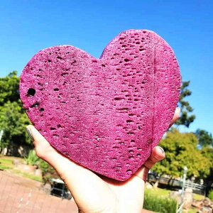 VR NX^ r[ n[g IuWF 蒤 nhCh  u CeA  p[Xg[ a v[g LO 蕨 킢