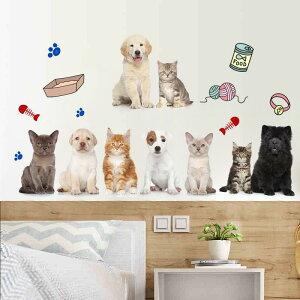 EH[XebJ[ A  L ybg  Aj} 킢 \Ă͂ ȔS h  rO Q q  N[[bg ͗lւ ǎV[ Ǐ fR