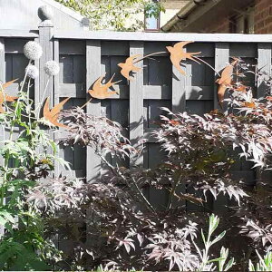 K[fI[ig Kт co Ǌ| EH[A[g 2_Zbg ACA [U[Jbg   O fR[V Jg[