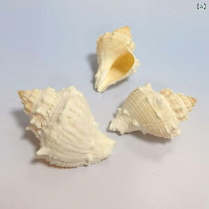 L Lk VRf  AȎ hJ̏h ւL  ANAE CAEg  CeA  IuWF u q ċx H R DIY