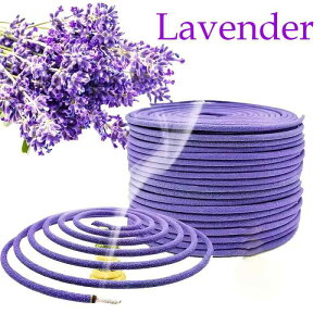  x_[̍  RC Q Jt VRf ؕz  O  x_ K[fjO Lv AEghA W[ F bNX ₵