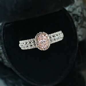 w fB[X t[TCY d˕t  dCbLH 嗱WRjA FsN CG[ pF [X y₩ OWA[ t@bV ʋ lwO GKg