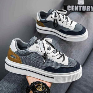 Xj[J[ Y jp ʋC ϖՐ V[NbgC\[ tBbglX jO oXPbg{[ g[jO JWA fC[[X ʋ ʊw gh ؍ {[h