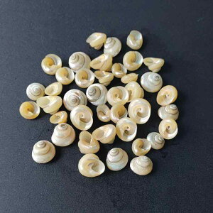 Lk hJp ZݑւVF B VR  L  ANAE  fBXvC W{ Be IuWF }XlC RNV ^