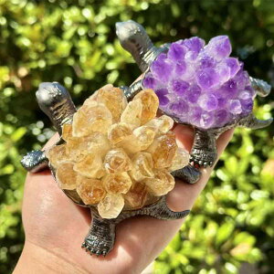 u IuWF VR _ T ~jT fXNybg  ItBX rO   CeA  J^ N v[g Mtg    AWXg