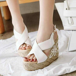 T_ fB[X  EFbW\[ nCq[ Xg[ I[vgD PUU[ GXph[ obNXgbv JWA p[eB[ TCY 傫TCYΉ   x