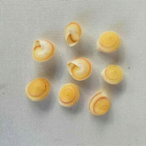 L VR ~j F J^c Lk 1-1.2cm VF RNV  nhCh DIY f Ntg ANAE eE WI} IuWF