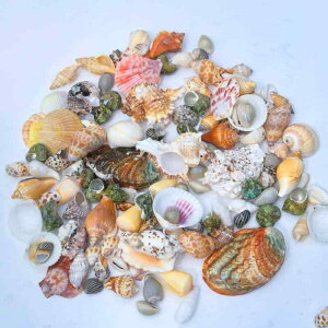 ANAE  CAEg Lk L zL TS VRf DIY nhCh  IuWF CeA I[ig p[c 2-10cm