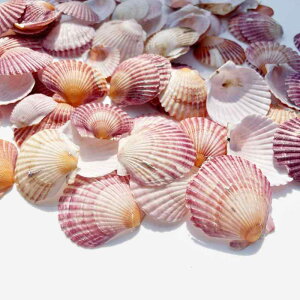 Lk VR sN z^eL ~j L VF  ANAE  CAEg CeA fBXvC nhCh DIY Ntg ޗ q LbY m wK  R RNV