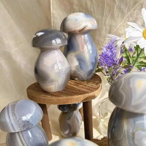 u VR p[Xg[ V`  ̂      H|i 킢  _ CeA q[O fXN   IuWF