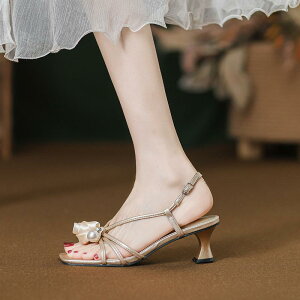 T_ fB[X ɂ ₷ 芴 q[ XNGAgD p[ ꎚXgbv t` GKg ꂢ ʋ ItBX XJ[gR[f s[X t Vp