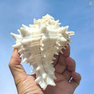 Lk L VR AJII{l{ ^ rbOTCY  ANAE CAEg ip I[ig nC CeA IuWF rO  