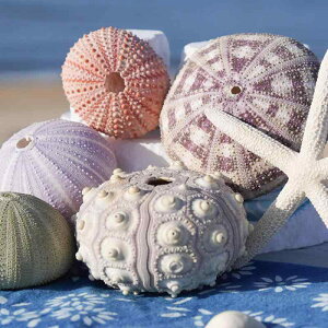 CeAG VRVF L Ejk W{ fBXvC RNV }X^C u IuWF GAvc X^h 