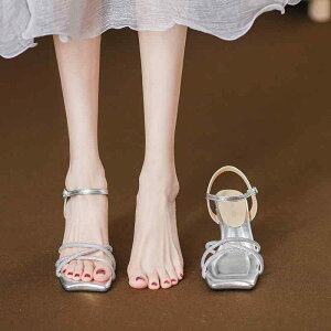 T_ fB[X q[ nCq[ \tg SnQ ʋ ItBX ig  CXg[ LL Xgbv XNGAgD t`VbN GKg t 