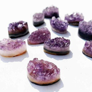 y_g jp VR  AWXg NX^[ ^ lbNX p[v Mtg v[g 蕨 a LO NX}X o^C