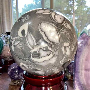 u VR  Lk VFXg[   p[Xg[   H|i ItBX fXN  rO  CeA  RNV IuWF _ Vv v[