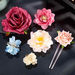 wAANZT[ qp LbY   Õ  RX`[ wbhhX  񂴂 wANbv wAs TChNbv ċG