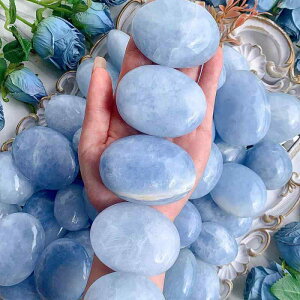 VR V ȉ~`   p[Xg[ }bT[W M zbgXg[  bNX q[O ґz p[Xg[  v[g Mtg J^