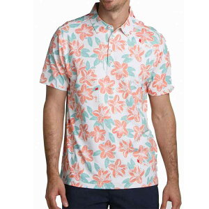 |Vc Y jp ڐG⊴ UVJbg 4WAYXgb` y  z StEFA  ԕ t |GXe zCg 傫TCY