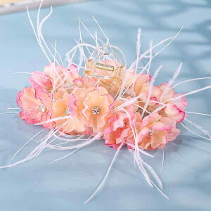 wANbv fB[X ؕ g NVJ Ԃт CXg[ tFU[ AN oXNbv nhCh 傫 ܂Ƃߔ  t