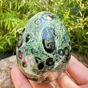 �u�� �V�R�� �p���[�X�g�[�� ���C���� �E����͗l �G�b�O�^ ���� �C���e���A �I�u�W�F �q�[�����O ���� ����� �f�X�N���� ���_�� ���蕨 �M�t�g �v���[���g