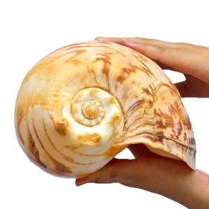 u VR RRibcQL ^ L zL rbOTCY  ANAE  CAEg CeA rO  RNV ӏܗp _AWAeCXg  IuWF 