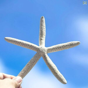 u VR L Lk X qgf W{ nC }eCXg ][g CeA G i IuWF RNV ǖʑ fBXvC ^(x2)