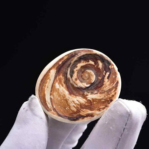 W{ VR Cm Ð  L Lk zL  H|i u IuWF CeA RNV fBXvC  _  