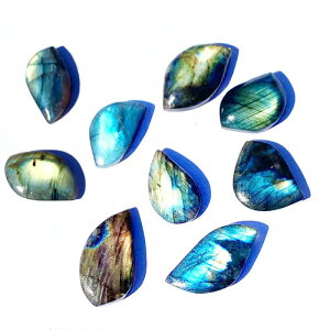 y_g Y fB[X VR uhCg _Iȃu[V[ VF [t`[t ^ t[tH[ p[Xg[  JWA Mtg 