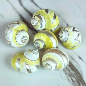 hJp hւVF VRLk ^ L A{Jh  CAEg ANAE  IuWF Ϗܗp aΉ