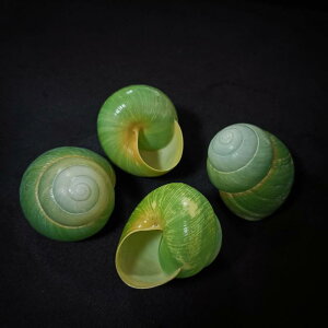 hJVF ւk p VRL  CAEg IuWF L RNV Ϗܗp O[AbvXl[ ^ ANAE eE ̗p