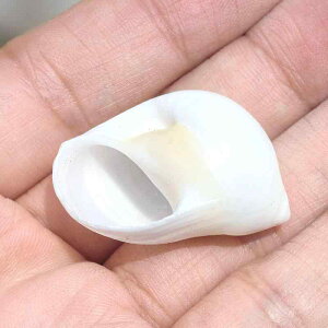  hJp CAEg VRL VF Lk  L J^c^ p  u IuWF CeA  ^ lߍ킹