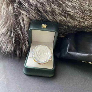 w fB[X nhCh J[WRjA VF t[`[t @ׂȒ I[vO t[TCY dCbLH pr fC[[X I  N[