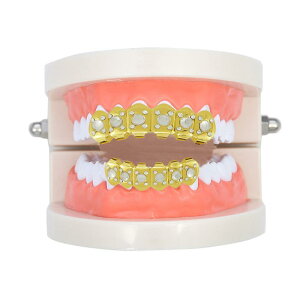  OY 18KbL  VO CX^ nEB qbvzbv  zS̉ jp f^ANZT[