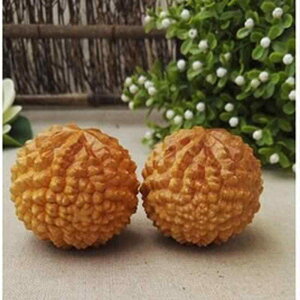 NObY R C w^ ͋ tBbglX{[ bNX nh}bT[W XgX ݌^ hA^  N V