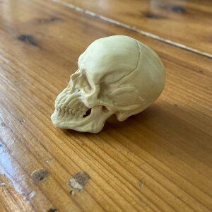 u XJ hN IuWF tcQ C 蒤  j[N I NGCeBu AWAeCXg CeA i  fXNgbv  RNV