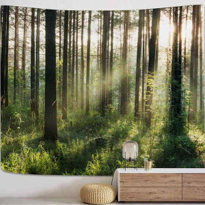 ^yXg[ zӂX Ǌ| k  EHbVu |GXe fW^vg ` Q rO   ͗lւ CeA